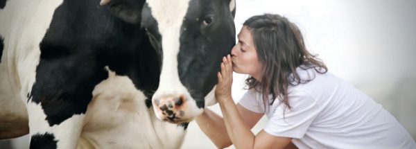 פגיעה באיכות הסביבה